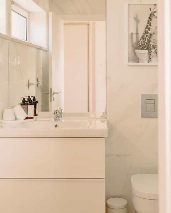 Glam House No Coracao Da Cidade Distrikt Distrikt Faro Exterior foto